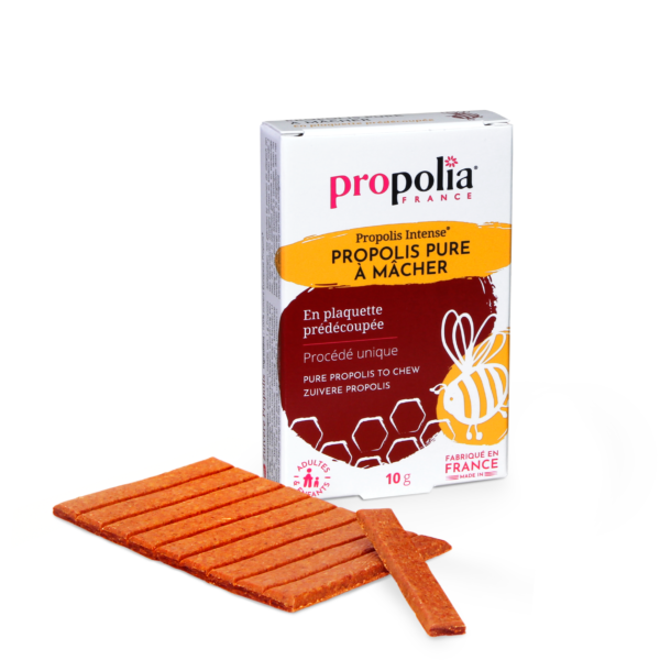 Propolis pure à mâcher en plaquette prédécoupée
