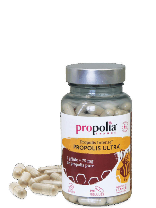 Intense propolis capsules