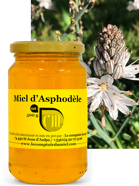 Miel d'Asphodèle