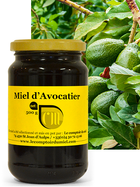 Miel d'Avocatier