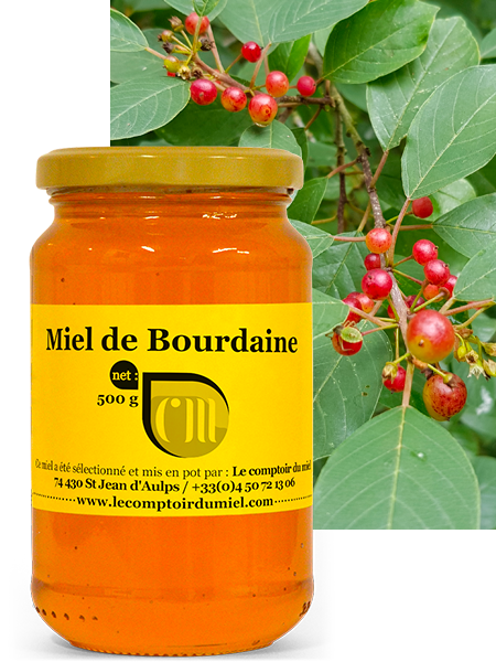 Miel de Bourdaine français (Lot-et-Garrone) - Doux & Liquide