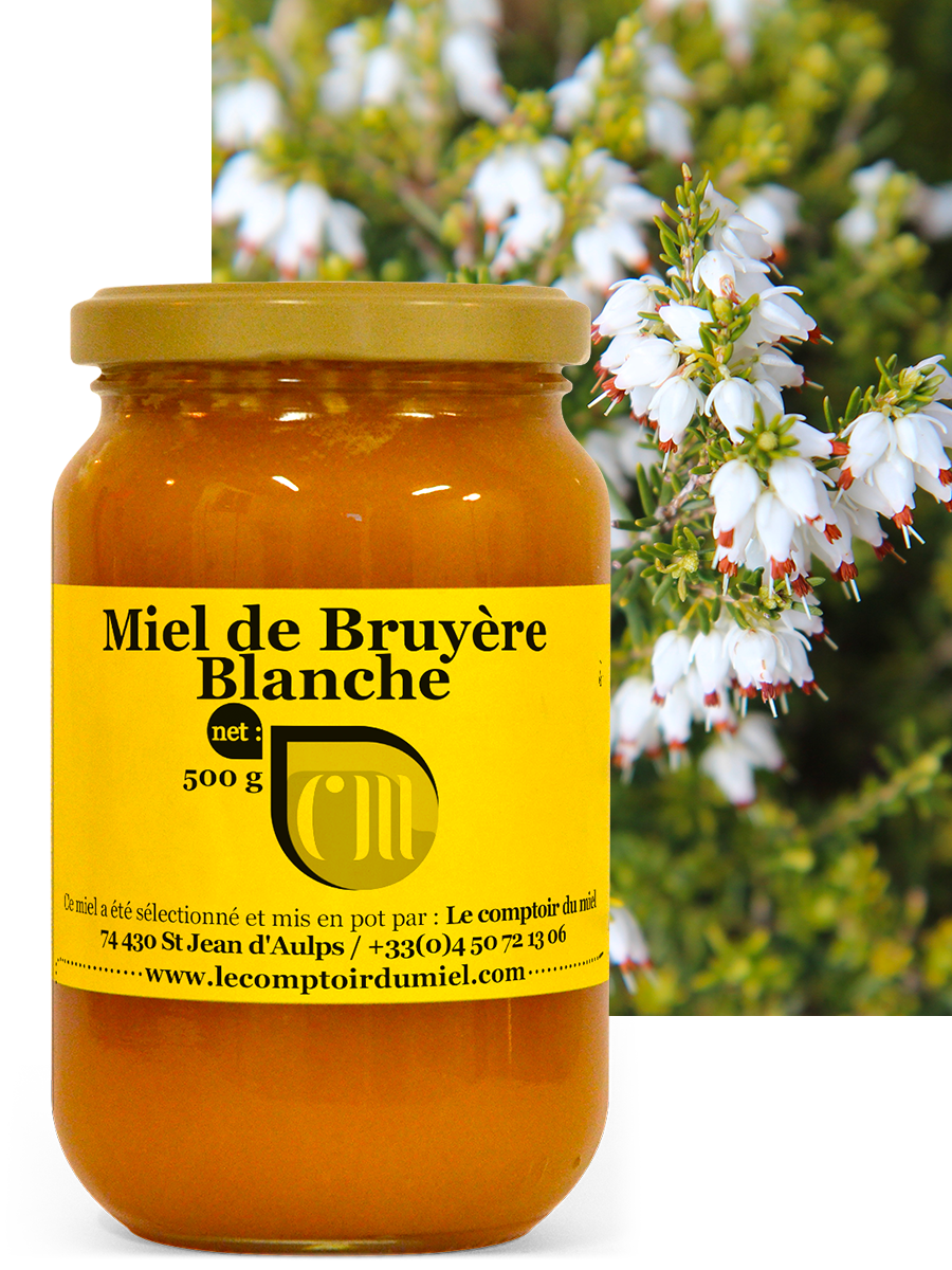 Miel de Bruyère blanche