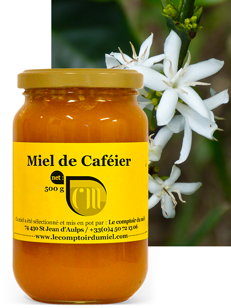 Miel de caféier