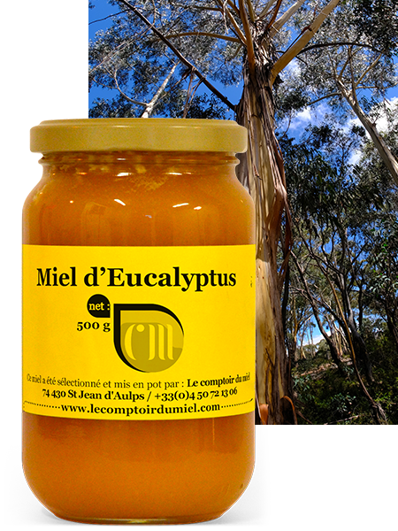 Miel d'Eucalyptus