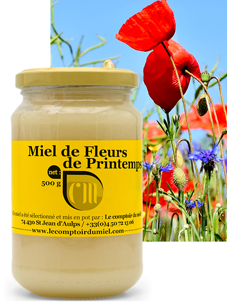 Miel de fleurs de printemps