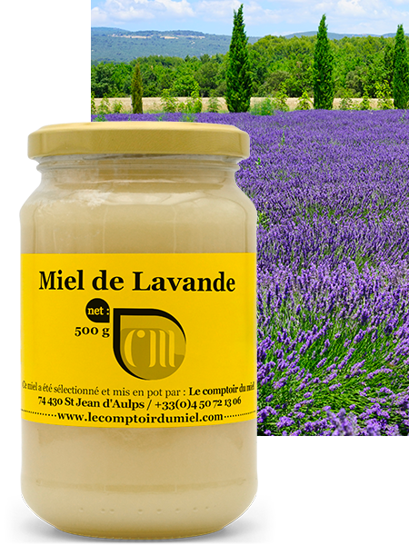 Miel de lavande de France