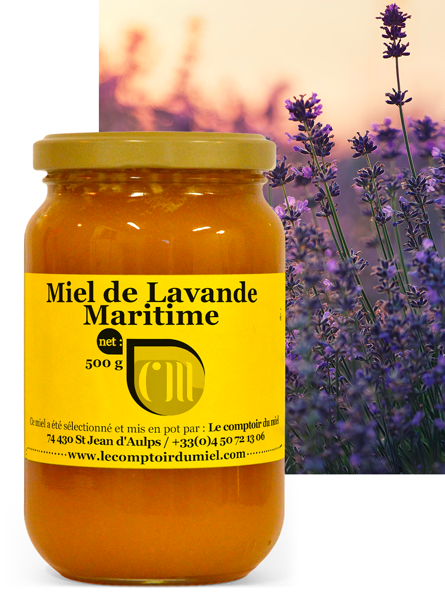 Miel de lavande maritime