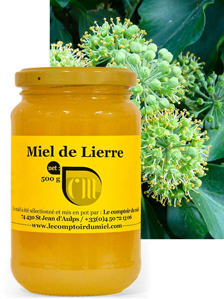 Miel de lierre