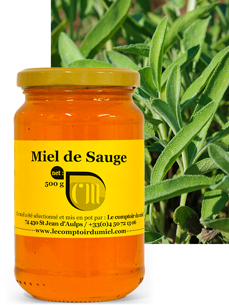 Miel de sauge