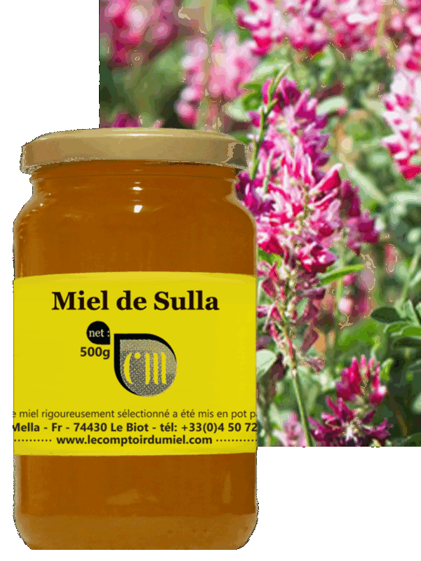 Miel de sulla