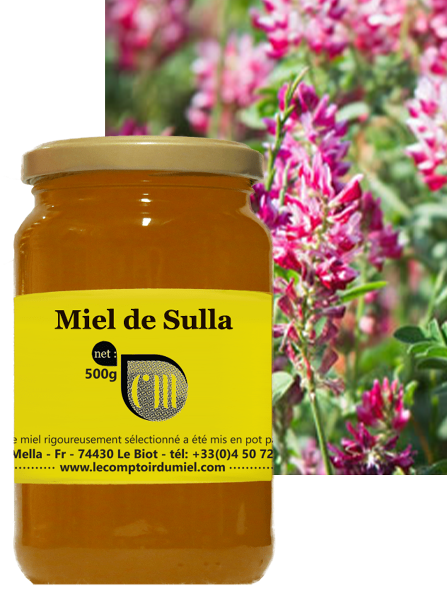 Miel de sulla