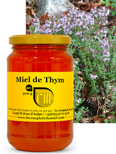 Miel de thym blanc