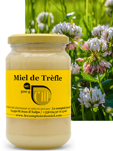 Miel de Trèfle