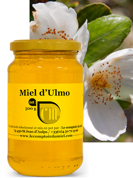 Miel d'Ulmo