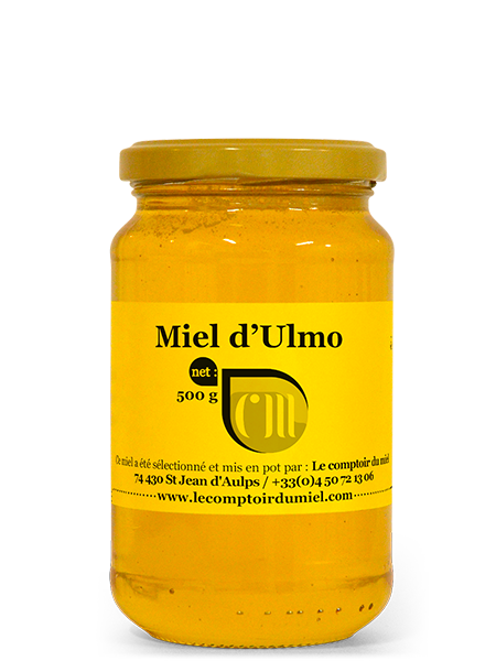 Miel d'Ulmo : 500g