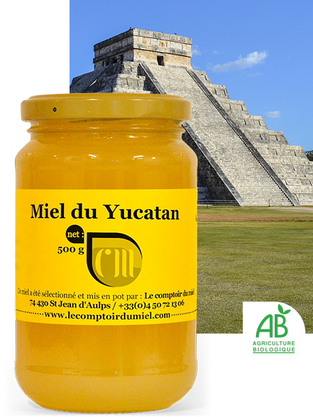 Miel du Yucatan bio