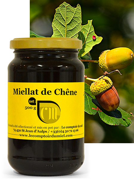 Miellat de chêne