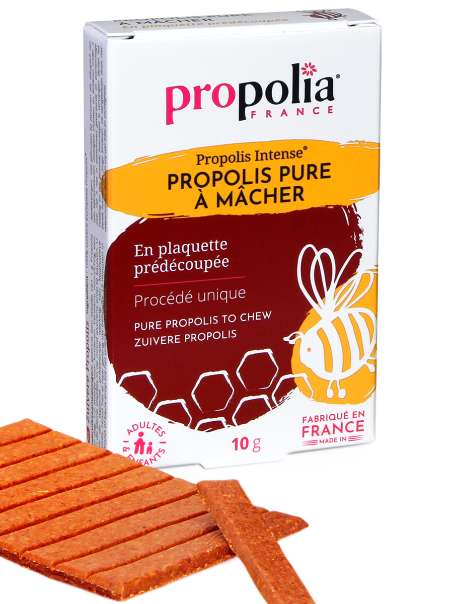 Propolis pure à mâcher bio : plaquette prédécoupée