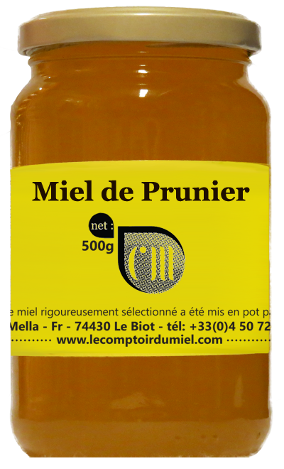Miel de Prunier