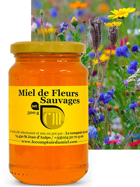 Miel de Fleurs de France