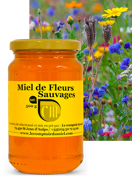 MIEL FRANÇAIS FLEURS DE PRINTEMPS 150 g - Fruitselect