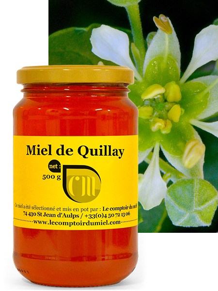 Miel de Quillay