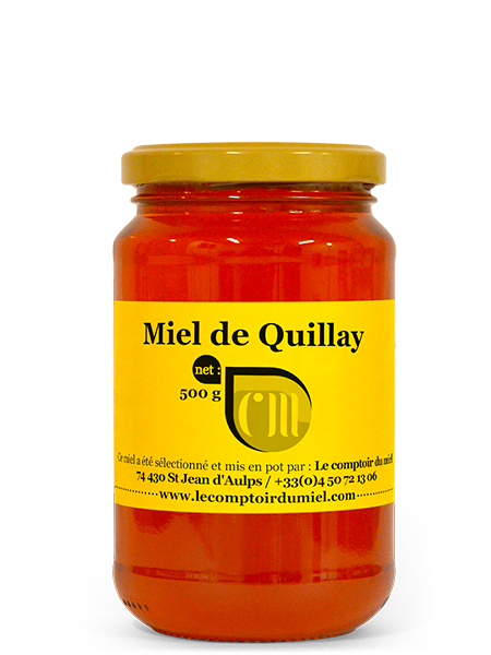 Miel de Quillay du Chili : 500g