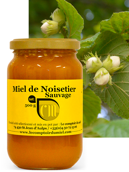 Miel de Noisetier Sauvage