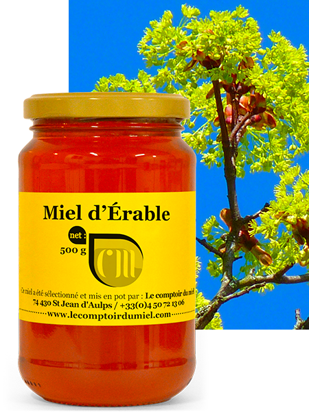 Miel d'Érable de France