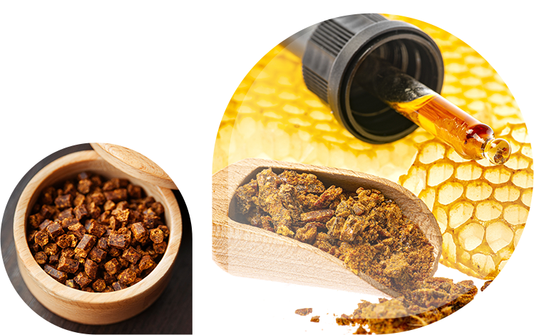 Catégorie produits à la propolis