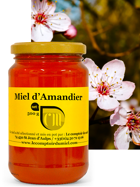 Miel d'Amandier