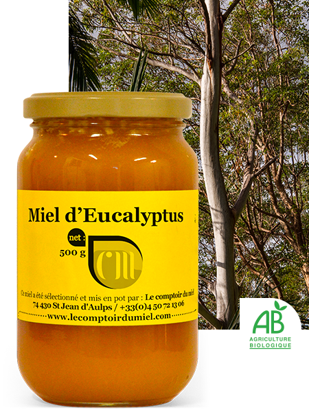 Miel D'eucalyptus