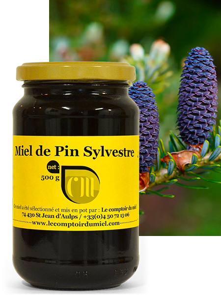 Miel de Pin Sylvestre