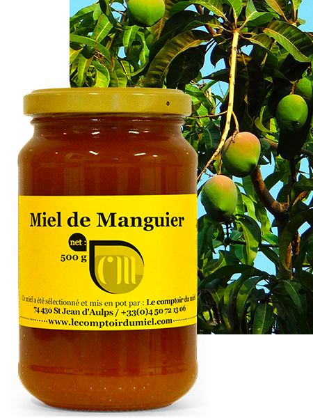 Miel de Manguier
