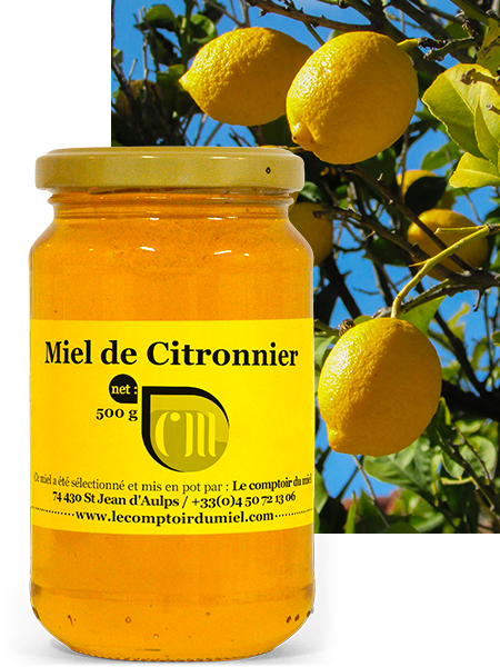 Miel de citronnier