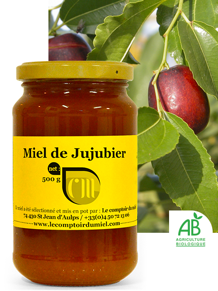 Miel de Jujubier bio