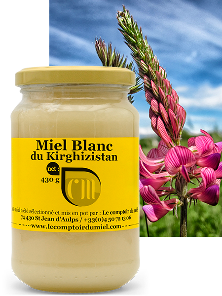 Miel Blanc du Kirghizistan