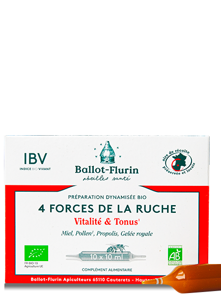 4 Forces de la Ruche