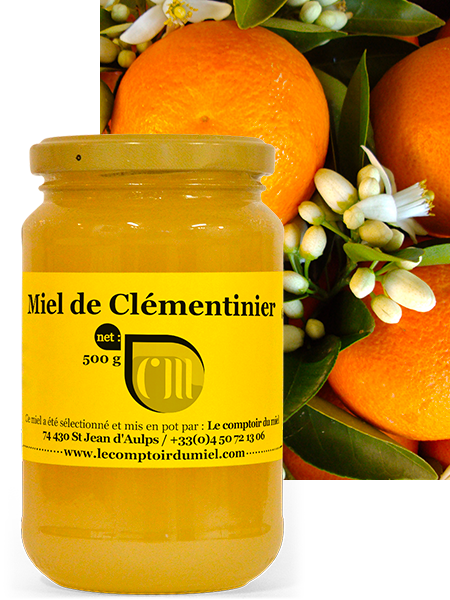 Miel de Clémentinier de France