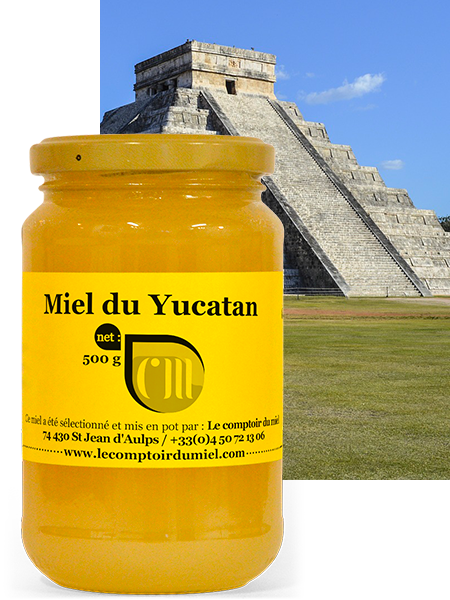 Miel du Yucatan