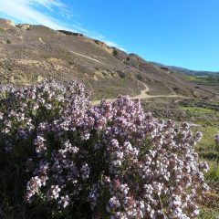 DCIM100GOPROGOPR2926.JPG