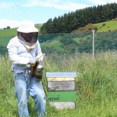 Beekeeper-4